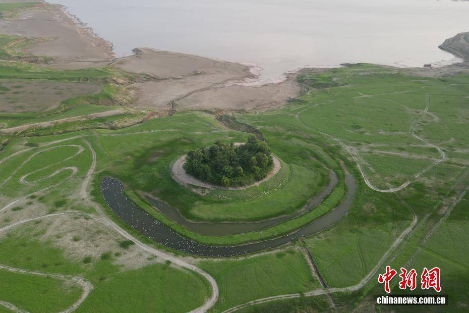河南黃河三門(mén)峽庫(kù)區(qū)現(xiàn)“生態(tài)草原”景觀:生態(tài)景觀
