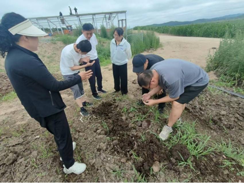 吉林農(nóng)大專家團(tuán)隊(duì)走進(jìn)敦化市大石頭鎮(zhèn)三道河子村<strong></p>
<p>生態(tài)農(nóng)業(yè)</strong>，為生態(tài)農(nóng)業(yè)發(fā)展“把脈支招”:生態(tài)農(nóng)業(yè)